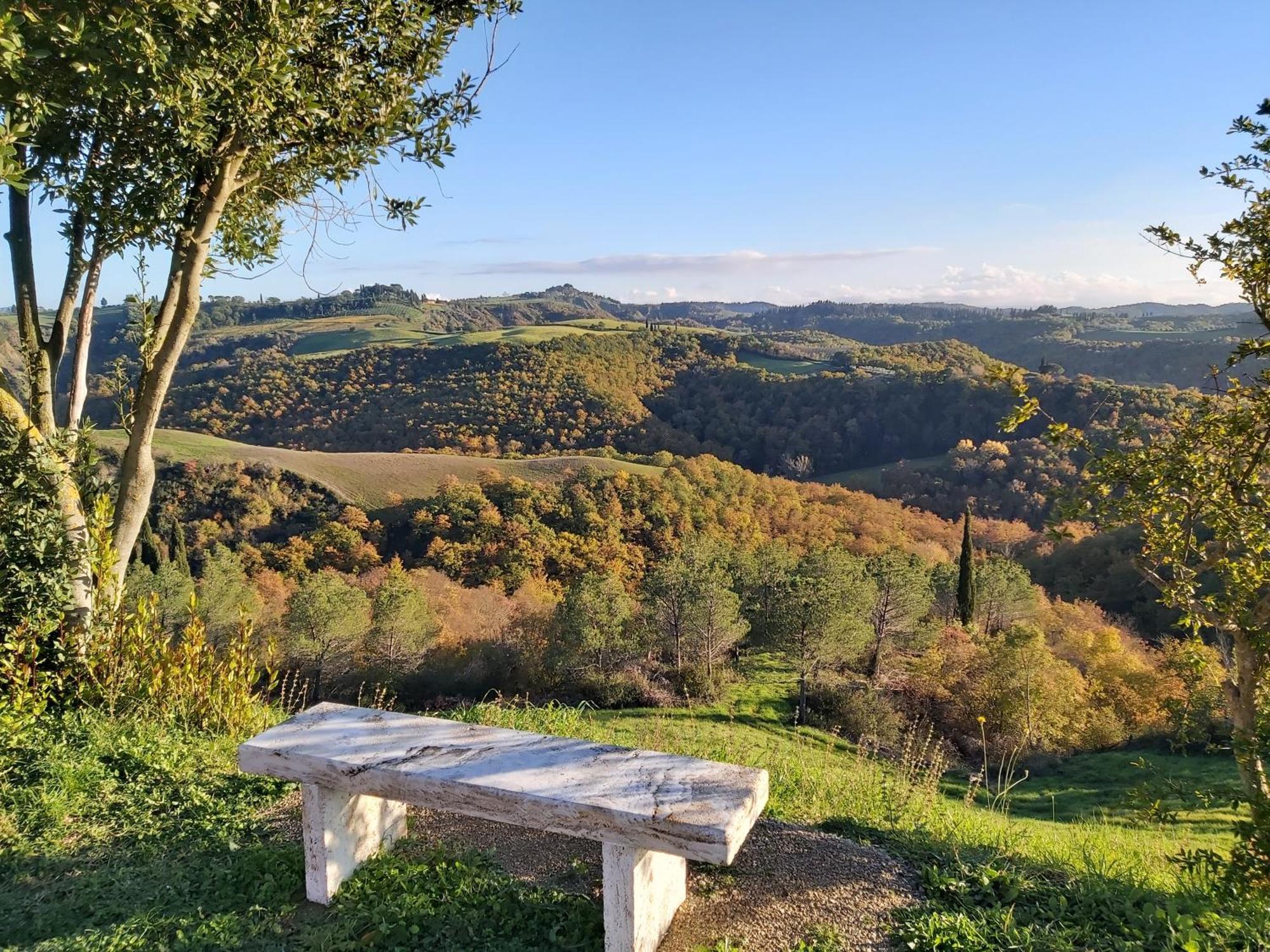 Agriturismo Mocine Villa Asciano Exterior photo