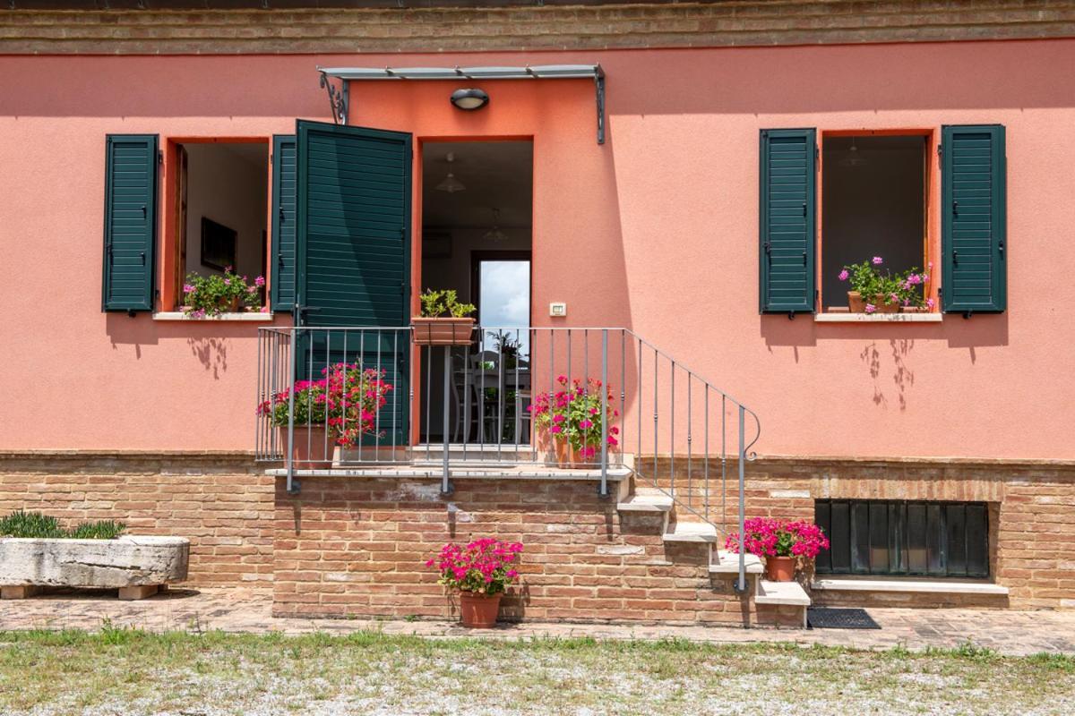 Agriturismo Mocine Villa Asciano Exterior photo