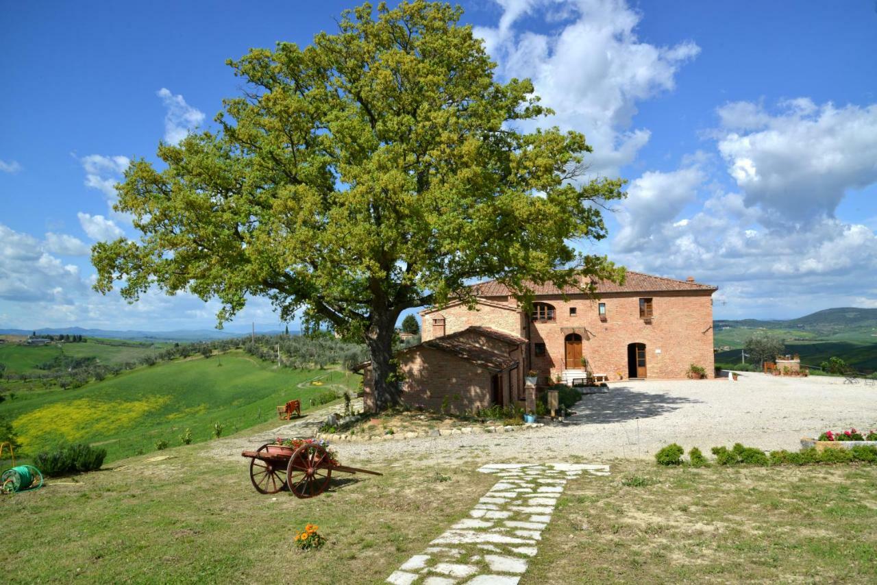 Agriturismo Mocine Villa Asciano Exterior photo