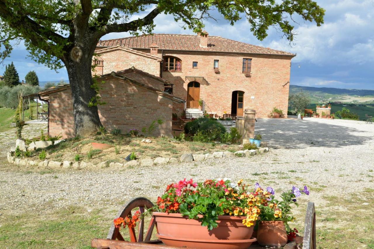 Agriturismo Mocine Villa Asciano Exterior photo